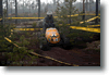 alastaro_4-2008_112.gif
