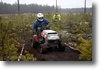 alastaro_4-2008_145.gif