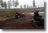 alastaro_4-2008_181.gif