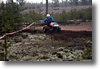 alastaro_4-2008_35.gif
