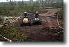 alastaro_4-2008_52.gif