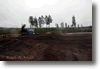 alastaro_4-2008_71.gif