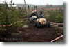 alastaro_4-2008_80.gif