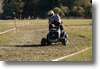 haarajoki_2010_68.gif