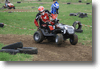 viro_2011_100.gif