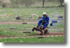 viro_2011_101.gif
