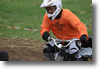 viro_2011_105.gif