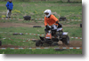 viro_2011_106.gif