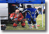 viro_2011_107.gif