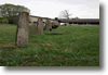 viro_2011_17.gif