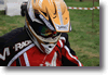 viro_2011_18.gif