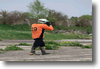 viro_2011_22.gif