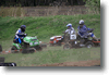 viro_2011_29.gif