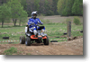 viro_2011_34.gif