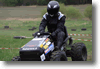 viro_2011_35.gif