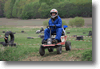 viro_2011_36.gif