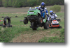 viro_2011_37.gif