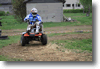 viro_2011_47.gif