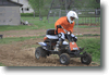 viro_2011_54.gif
