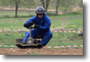 viro_2011_65.gif
