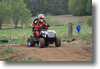 viro_2011_73.gif