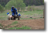 viro_2011_74.gif