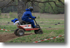 viro_2011_78.gif