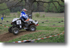 viro_2011_80.gif