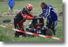 viro_2011_82.gif