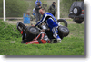 viro_2011_86.gif