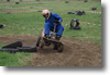 viro_2011_97.gif