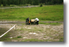 himos_2008_30.gif