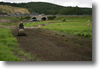 himos_2008_32.gif