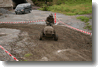 himos_2008_41.gif