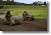 himos_2008_78.gif