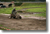 himos_2008_79.gif
