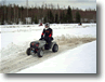 paipis_3-2-2007_05.gif