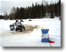 paipis_3-2-2007_22.gif