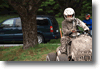 pargas_2010_128.gif