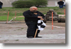 pargas_2010_141.gif