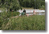 pargas_2009_83.gif