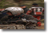pornainen_2010_114.gif