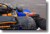 pornainen_2010_12.gif