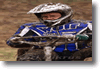 pornainen_2010_129.gif