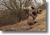 pornainen_2010_138.gif