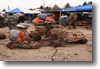 pornainen_2010_155.gif