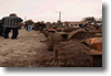 pornainen_2010_161.gif