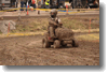 pornainen_2010_186.gif