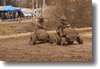 pornainen_2010_206.gif