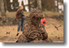 pornainen_2010_239.gif
